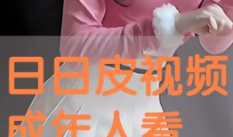 日皮的视频,探寻日本文化的魅力与深度